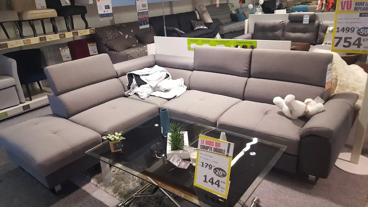 But Mayenne — photo 3