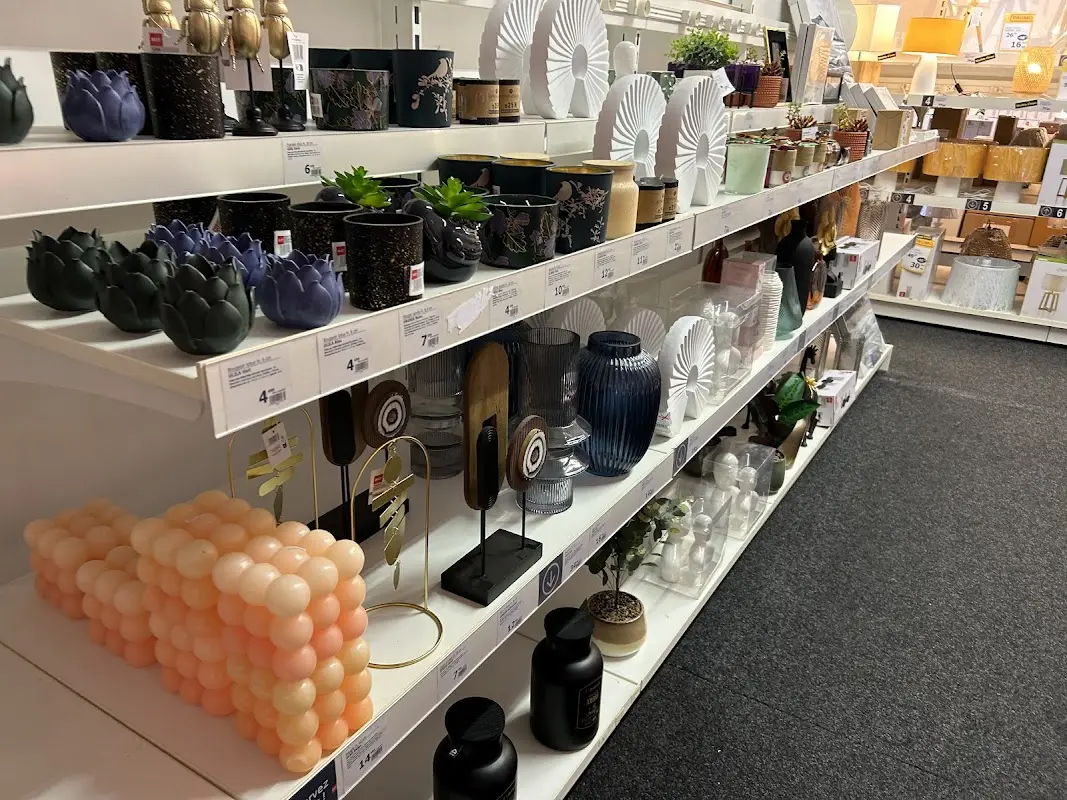 But Thouars — photo 2