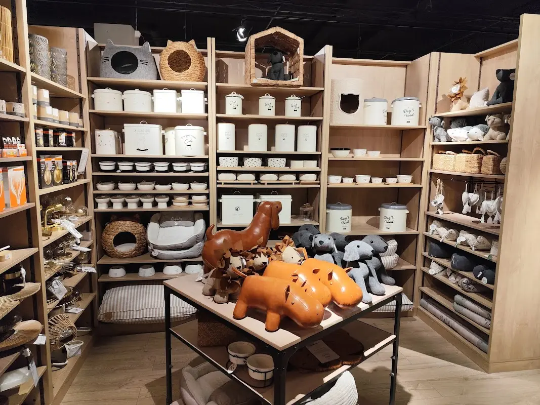 Maisons du Monde Cergy — photo 3