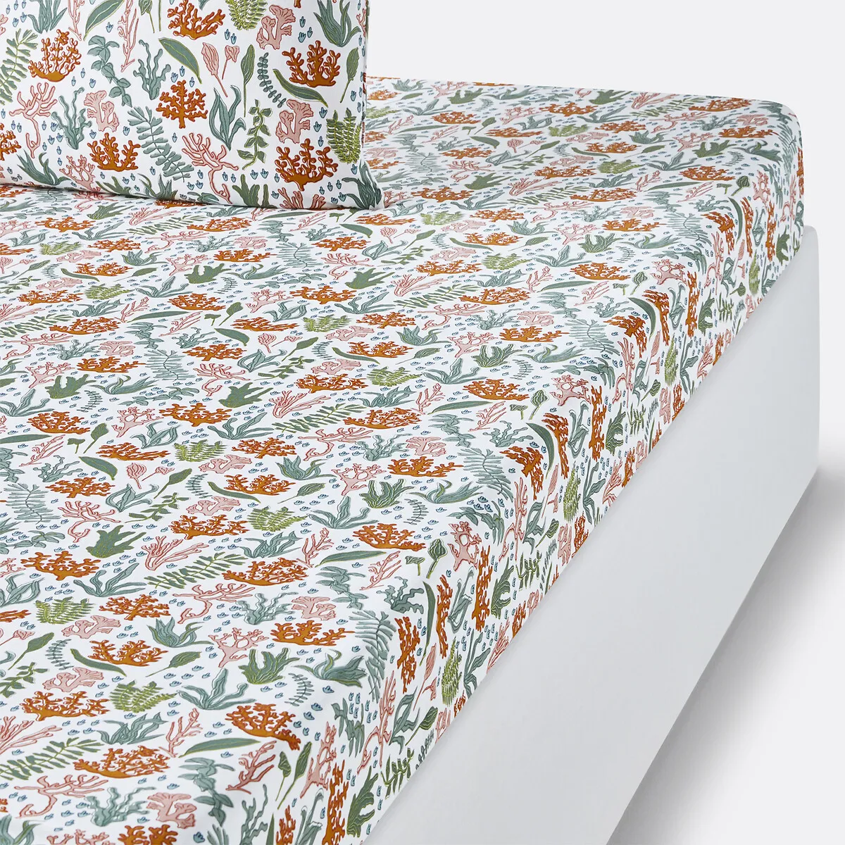 Drap Housse Coton, Lara