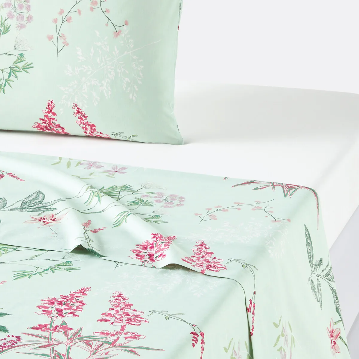 Drap Plat Percale De Coton, Isoline