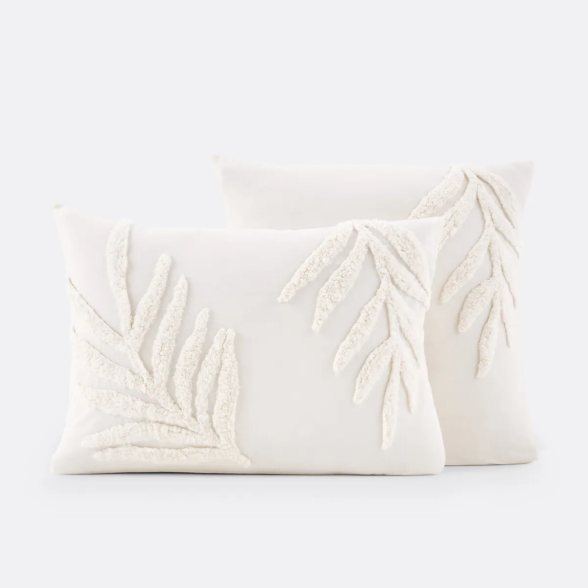 Taie D'oreiller Coton, Jobe