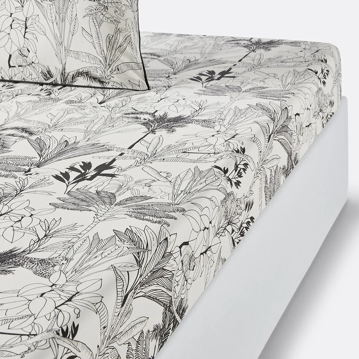 Drap Housse Percale Coton Bonnet 30 Cm, Palmeira