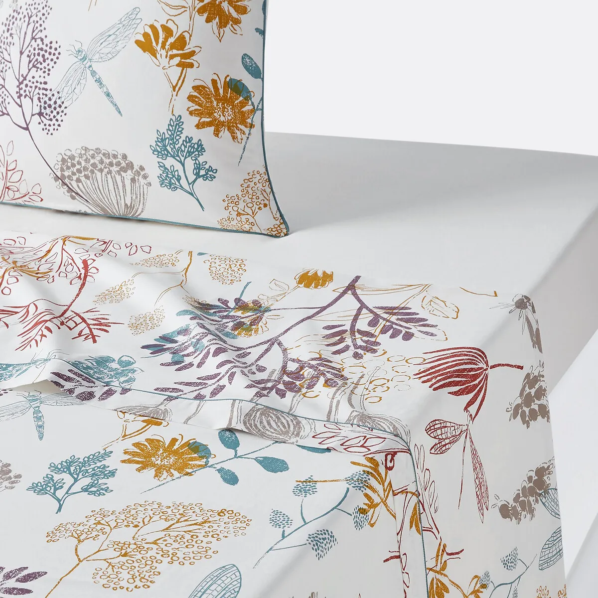 Drap Plat Percale De Coton, Botanique