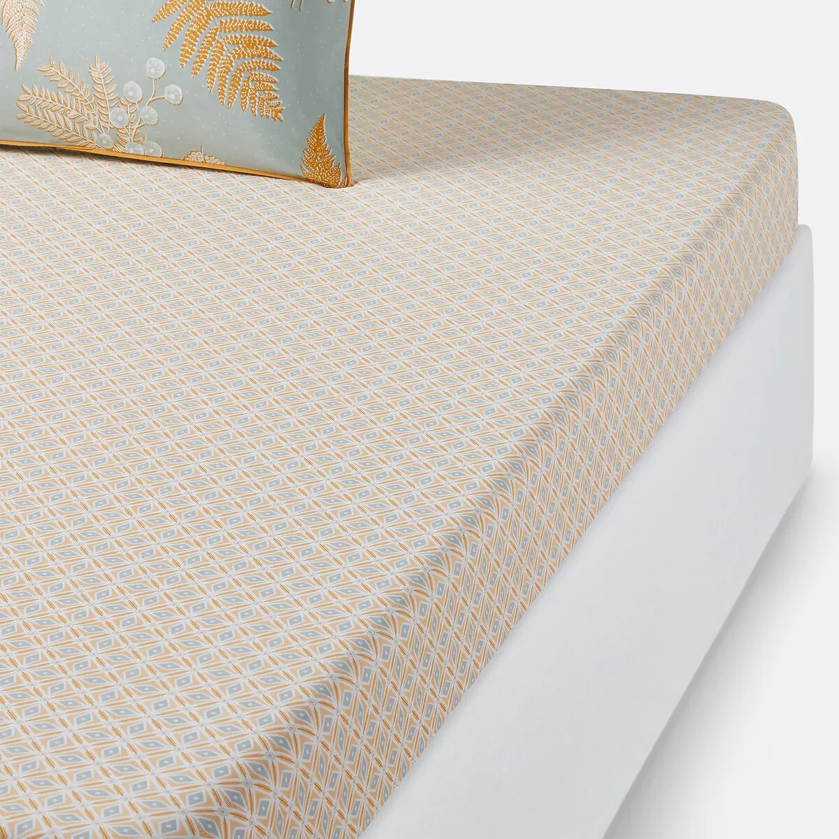 Drap Housse En Percale De Coton, Fougère