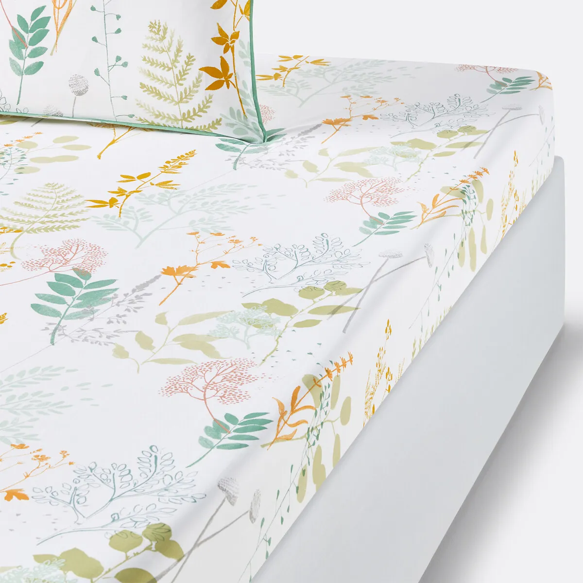 Drap Housse Percale De Coton, Herbarium
